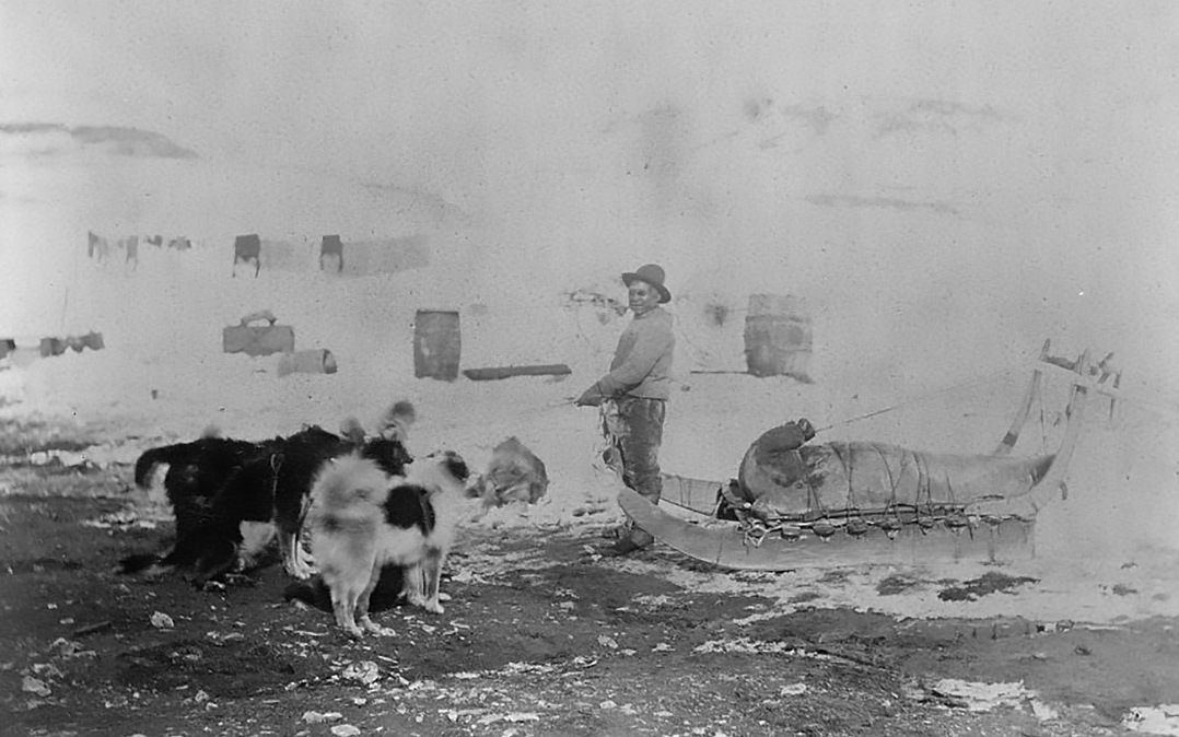 One of the two Inuits on the expedition, Jens Edwards, returns from a hunt with a seal strapped to the sled.