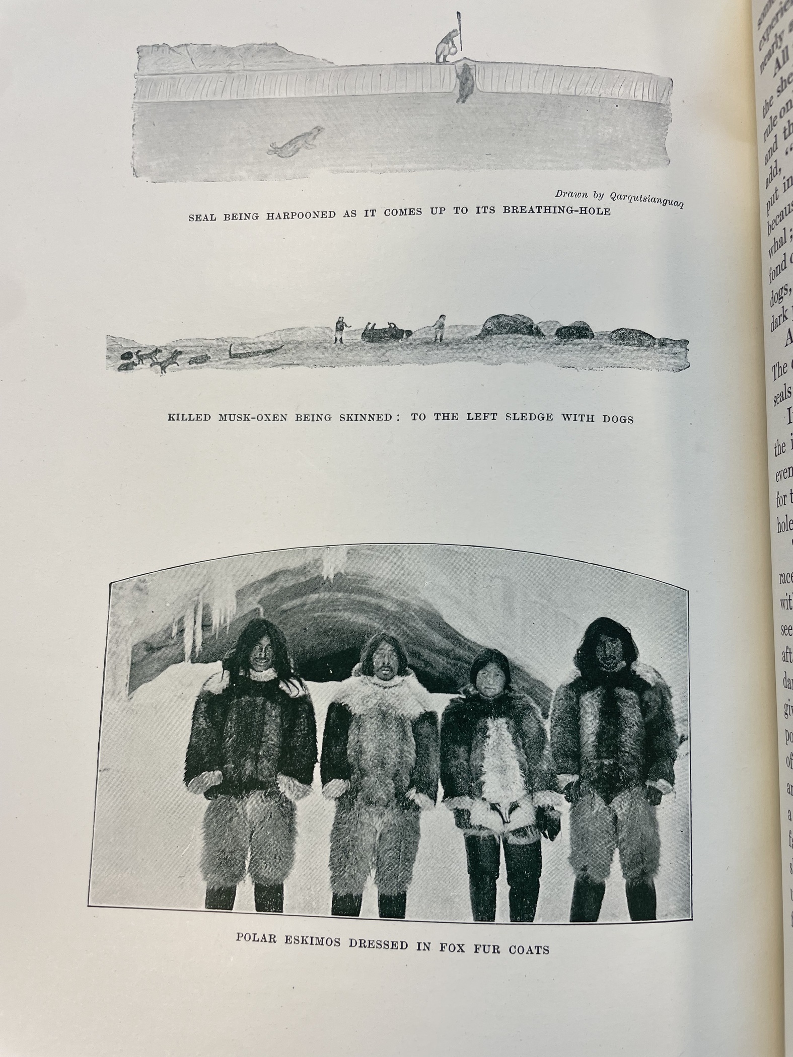 AJALUK on X: UNTOLD part of Inuit history: We all know how amazing the  Inuk seamstresses were. Skin boots, Skin pants, skin jackets, Skin mitts -  They also made seal skin underwear